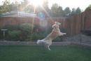 Getting "Big Air," along with a fine catch!