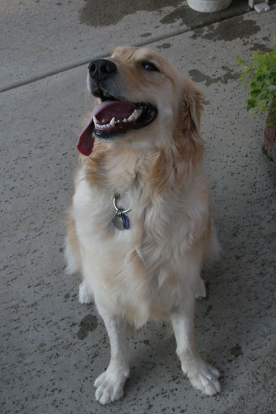 Jake posing on his second birthday...