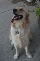 Jake posing on his second birthday...