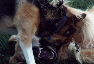 Molly and Luke in the midst of playtime.