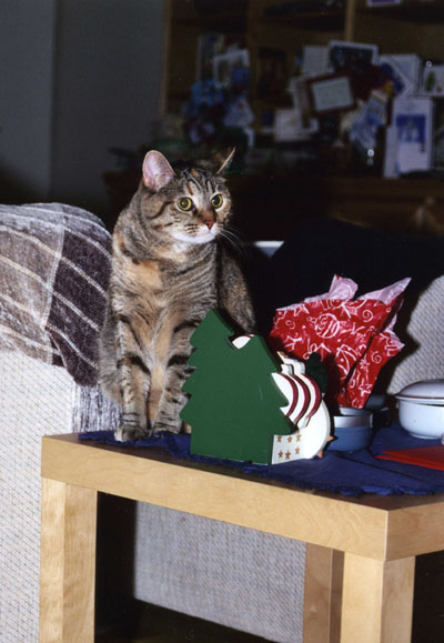 Yo! Where's my gift?