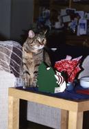 Yo! Where's my gift?
