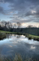 The Water Trap