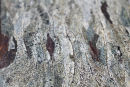 Patina of nature 2