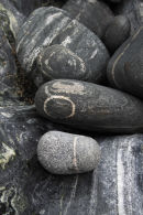 Lewisian Gneiss Rock Collection