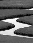 Shapes in the flats