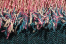 Harris Tweed - chaos to order