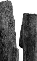 Stone Giants Talk