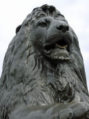 Landseer Lion