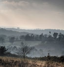 Misty Afternoon over "The Garden of Eden"
