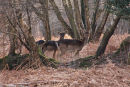 Who are you looking at?