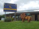 St. Marks Lion