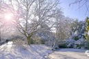 Peckham Rye Winter