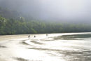 Beach at Cape Tribulation