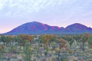 The Olgas dawn