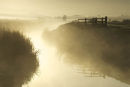 Mists around the river Brue near Meare
