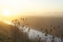 River Brue