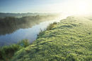 River Brue morning mist