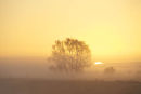 Sun Rise