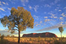 Uluru in morning the  light