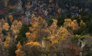 Autumn Palette