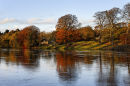 Autumn Tyne