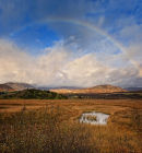 Insch Marshes