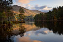 Rothiemurchus Evening