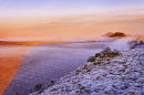 Winter Mist