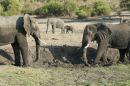 Chobe National Park