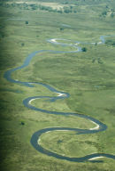 Okavango Delta serpentine