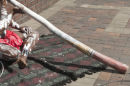 Sydney Harbour musician