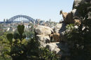Taronga Zoo and Harbour Bridge