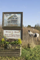 Welcome to Ledbury