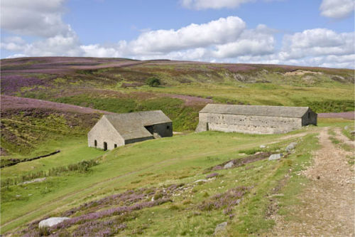 Smelt mill and peat house, Grinton