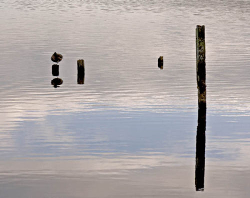 Reflections