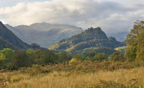 Borrowdale from Manesty Park