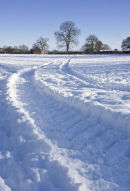 tractor tracks