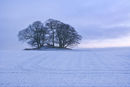 Hunton Clump