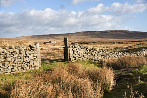 Abandoned Farm, Arkengarthdale