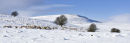 Grinton Moor