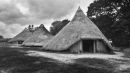 Castell Henllys