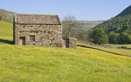 Barn and flower meadows near Muker, Swaledale