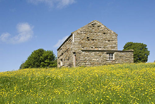 Flower meadows at Muker, Swaledale
