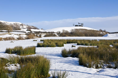 Lady Hill
Wensleydale