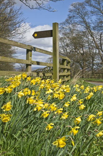 Footpath sign near Nunnington