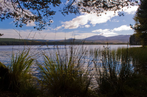 Loch Garten