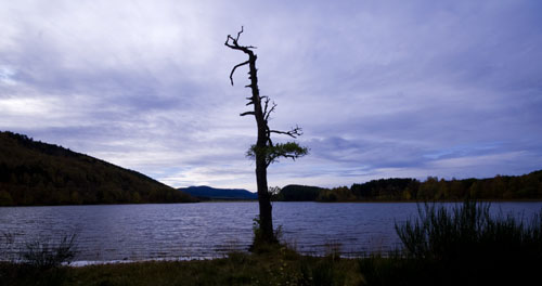 Loch Pityoulish.