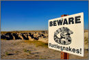 Don't say you weren't warned.