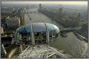 The London Eye.